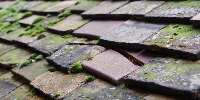 Gwyddgrug roof repair costs